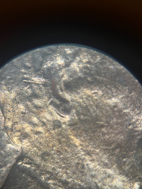 Lincoln-Cents-1984-Ear-Lobe-Double-?